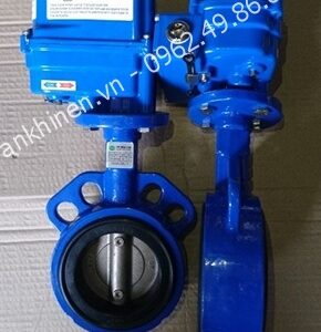 van-buom-dong-mo-bang-dien - ảnh nhỏ  1