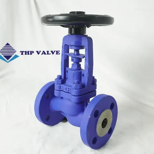 Ảnh thực tế: Van cầu hơi chữ ngã Ravis tại THP - 4