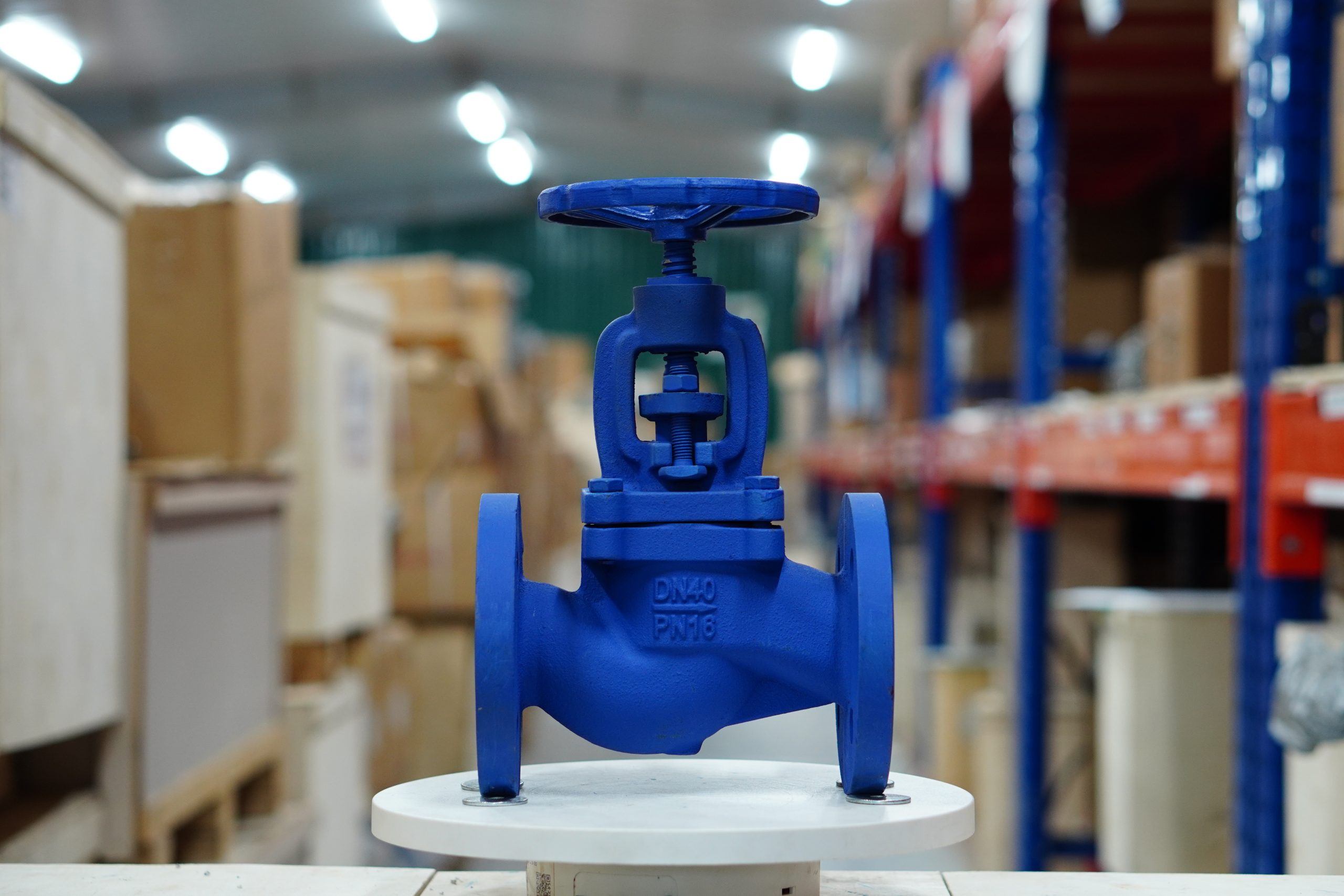 Ảnh thực tế: Van cầu hơi chữ ngã Ravis tại THP - 2