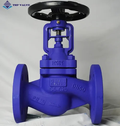 Ảnh thực tế van cầu hơi thép tiêu chuẩn Đức DN50