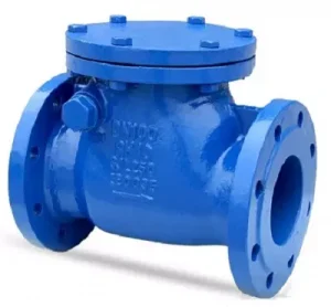 check_valve_van_1_chieu