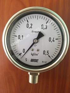 Đồng hồ đo áp kpa wise