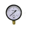 Đồng hồ đo áp suất wise P110
