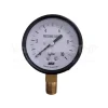 Đồng hồ đo áp suất wise P110