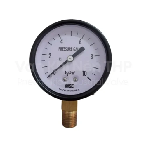 Đồng hồ đo áp suất wise P110