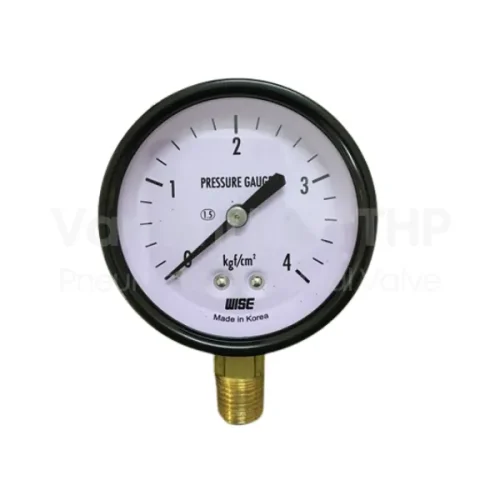 Đồng hồ đo áp suất wise P110