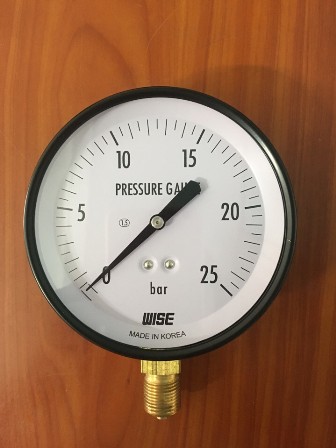 Đồng hồ đo áp P110 : 0 ~ 25bar ( 25kgf/cm2)