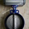 Van bướm điều khiển khí nén Haitima