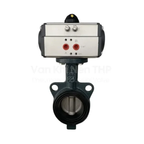 Van bướm Hàn Quốc