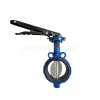 Van bướm tay gạt thân gang cánh inox Wonil