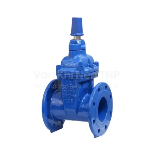 Van cổng ty chìm nắp chụp