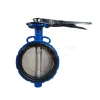 Van Bướm Thân Gang Cánh Inox