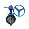 Van Bướm Thân Gang Cánh Inox
