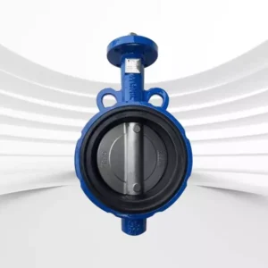 van bướm thân gang cánh inox