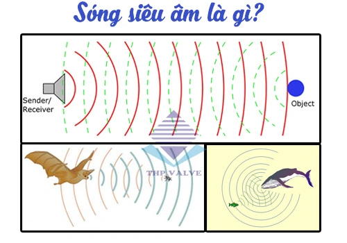 sóng siêu âm là gì