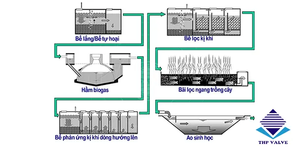 phương pháp xử lý nước thải chăn nuôi