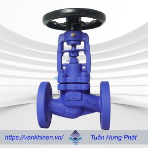 Ảnh mô tả van cầu gang DN20 Ravis