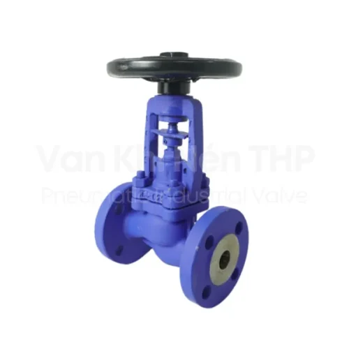 Van cầu gang DN20 Ravis