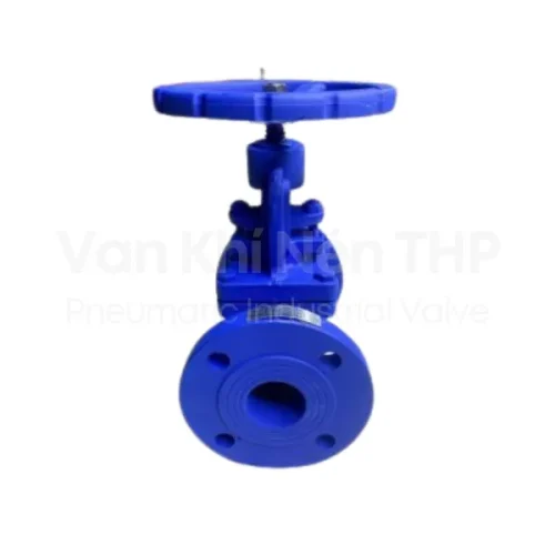 Van cầu gang DN32 Ravis