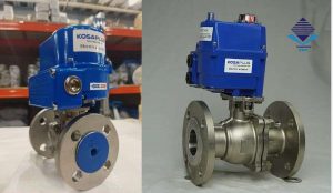 Bi điện hàng Kosaplus lắp bích