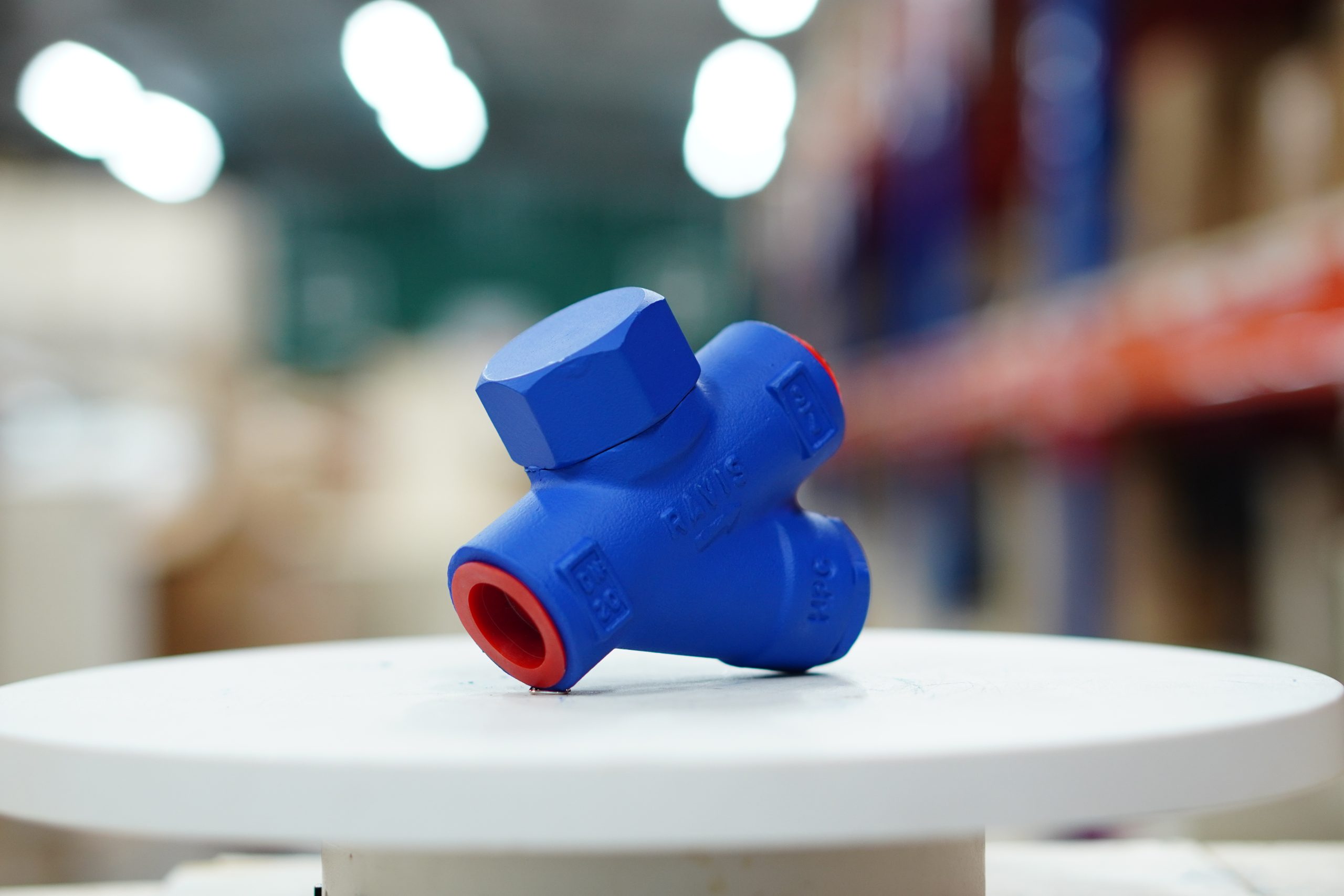 Bẫy hơi đồng tiền Ravis Đài Loan 2