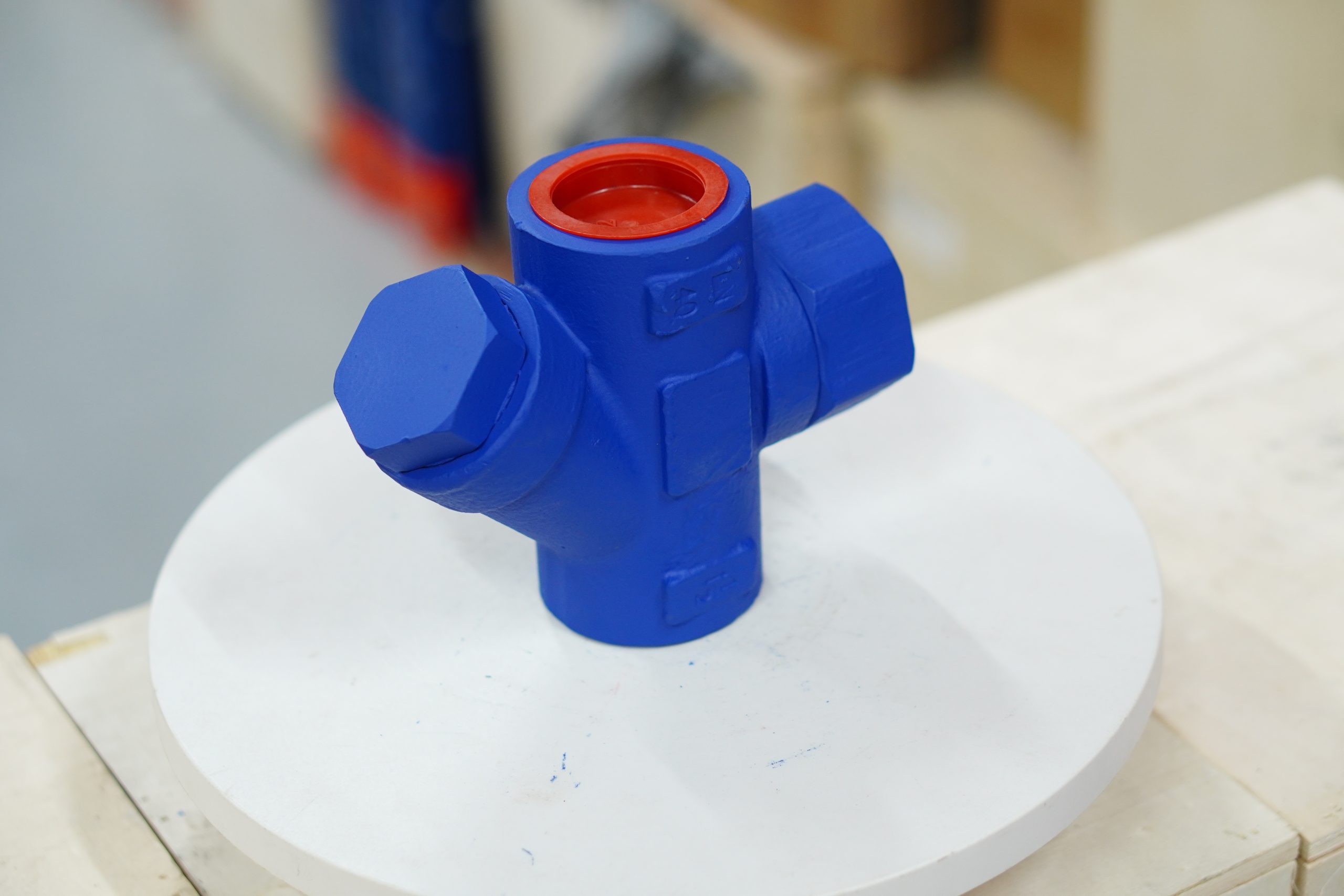 Hình ảnh thực tế bẫy hơi đồng tiền Ravis DN25