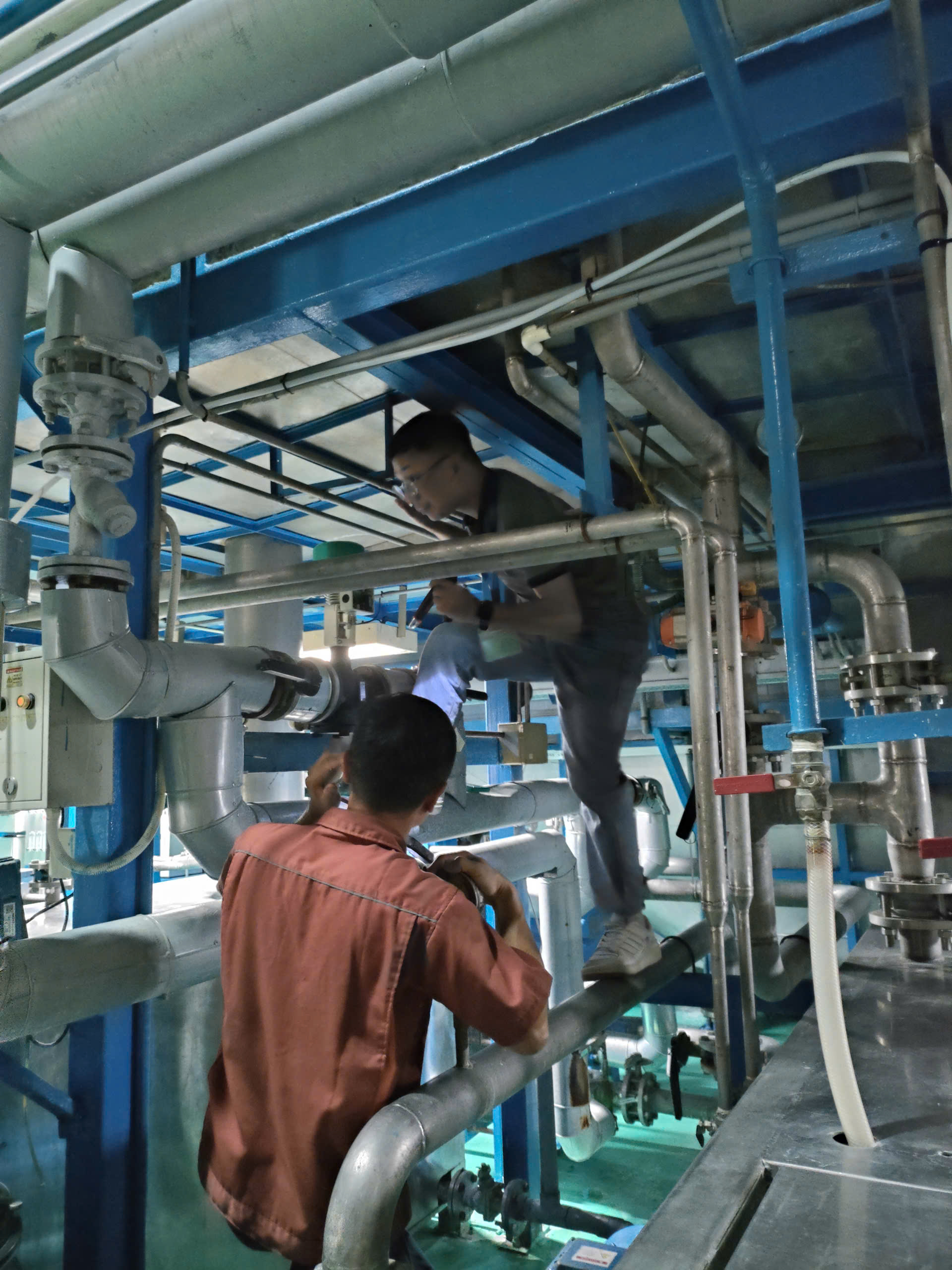 Hình ảnh thực tế bảo trì và kiểm tra bẫy hơi đồng tiền trong hệ thống hơi 